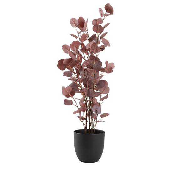 THEO skrautplanta H70cm purple